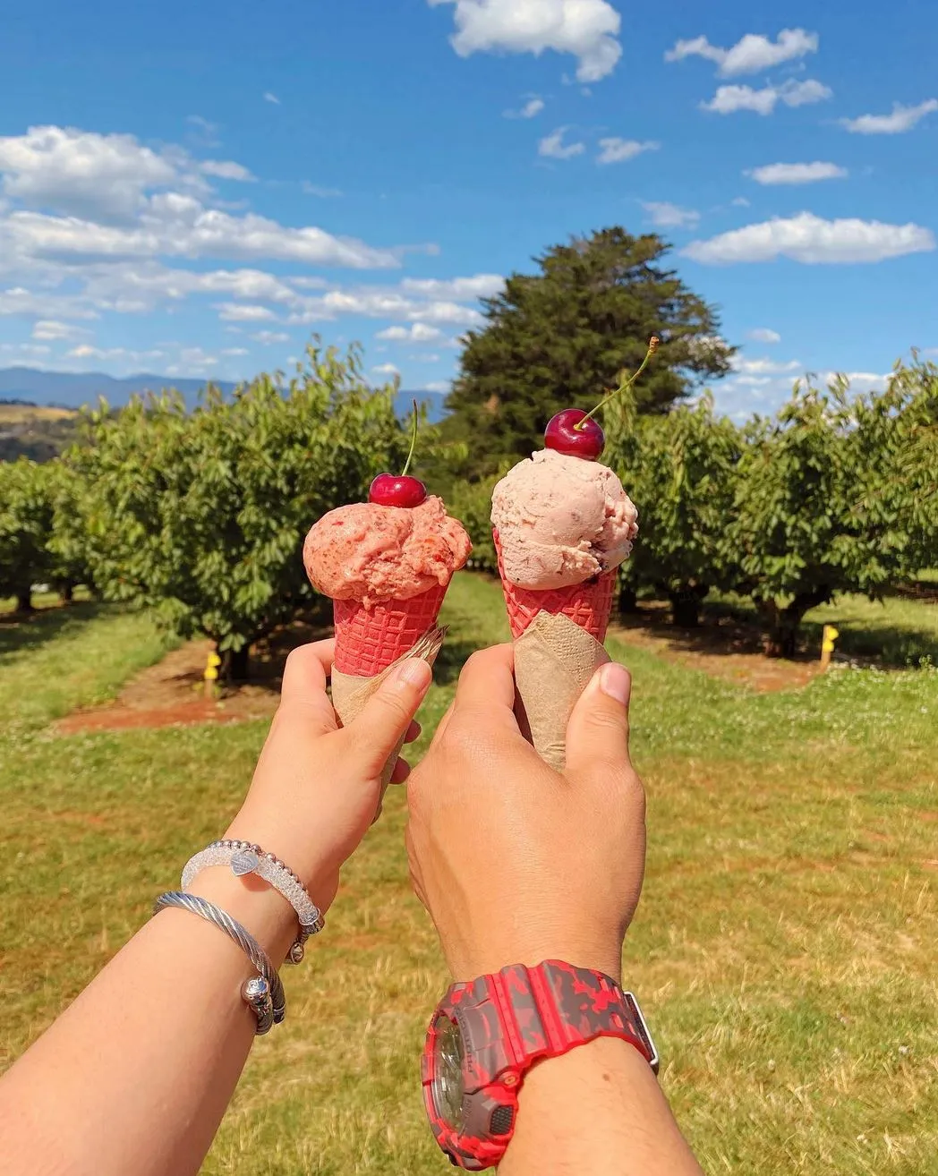 Cherry Hill Orchards