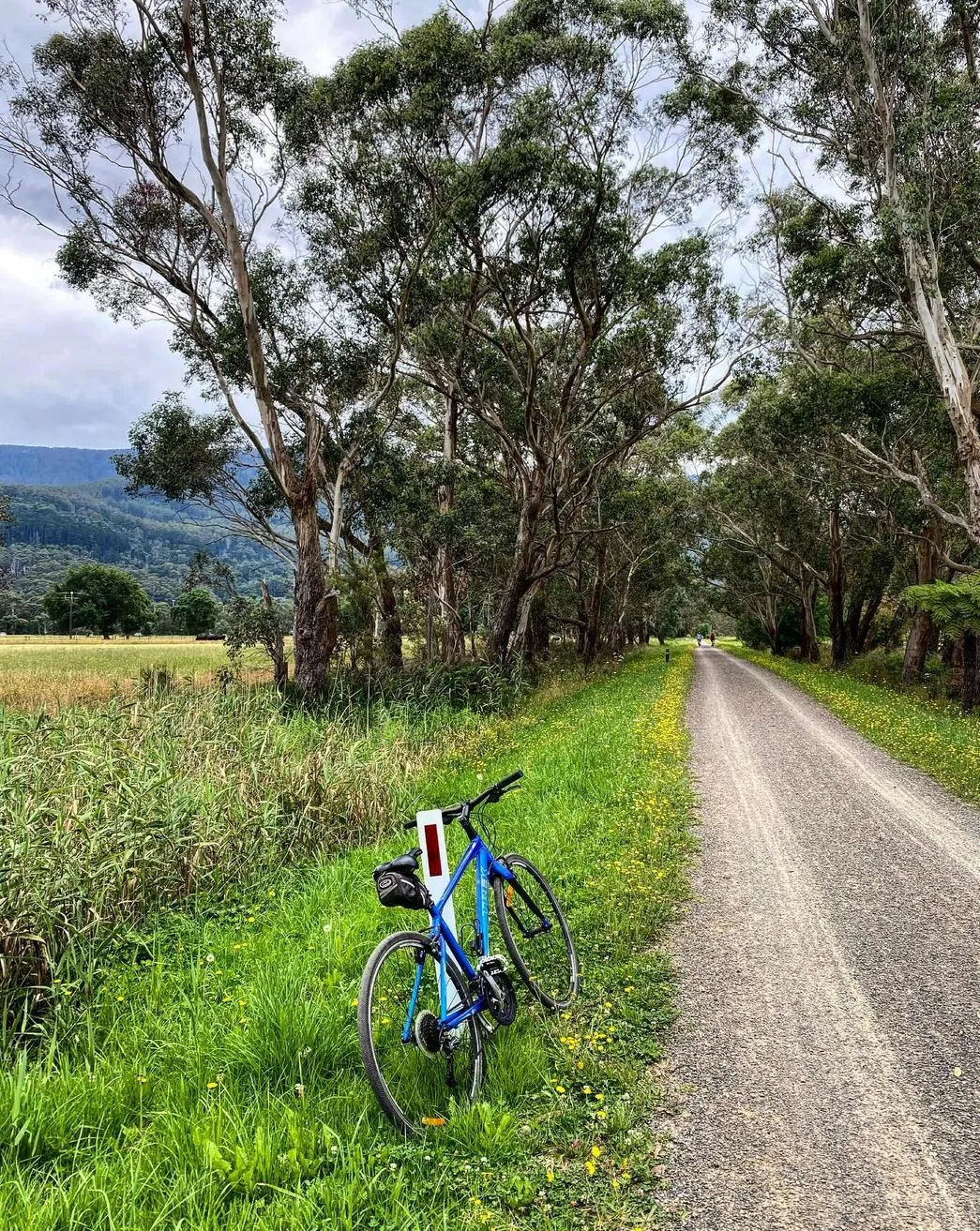 Warburton Rail Trail