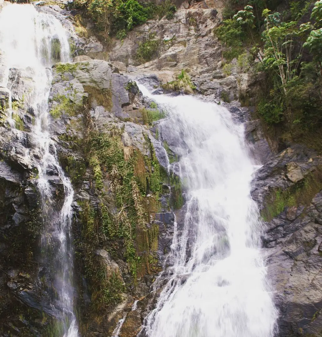 kuranda scenic railway 2026
