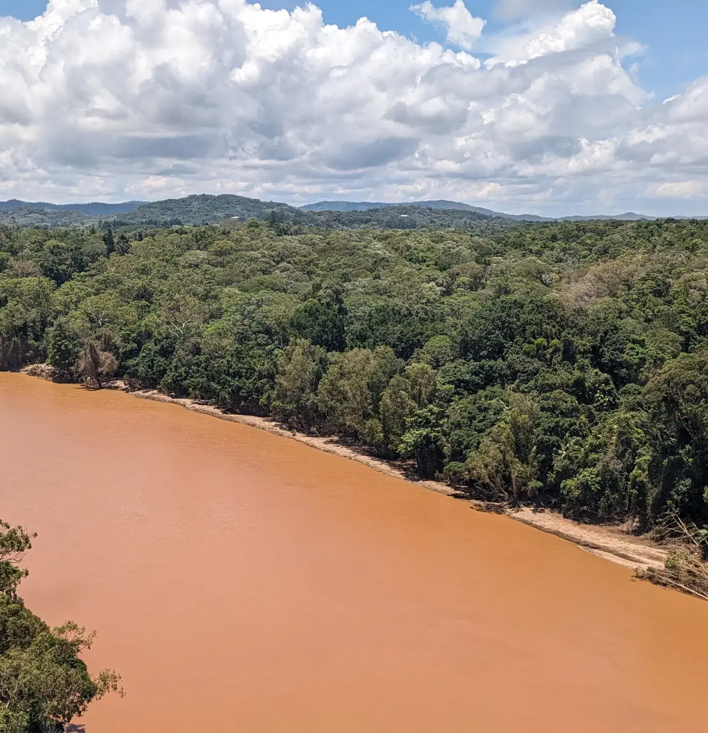 kuranda scenic railway tour 2026
