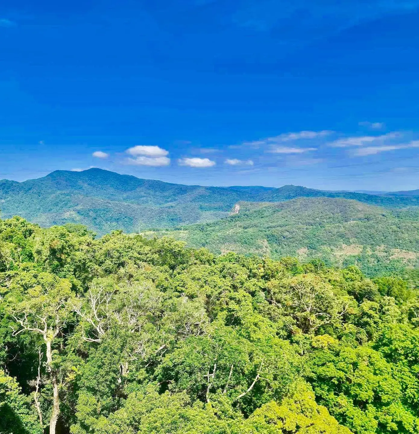 kuranda scenic railway tour 2026