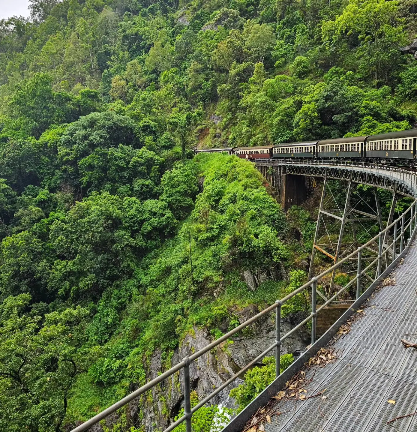 kuranda scenic railway tour 2026
