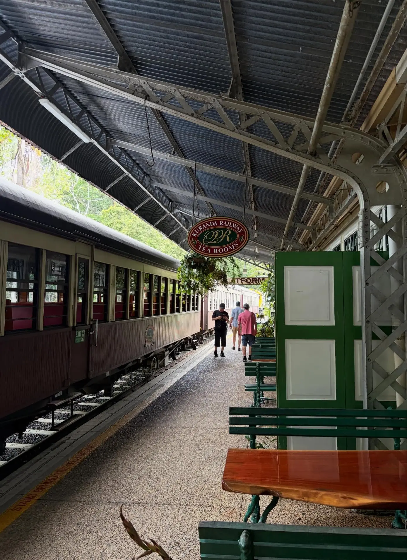 kuranda scenic railway wildlife tour